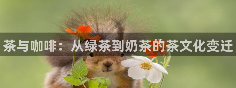 摩登3后7O667