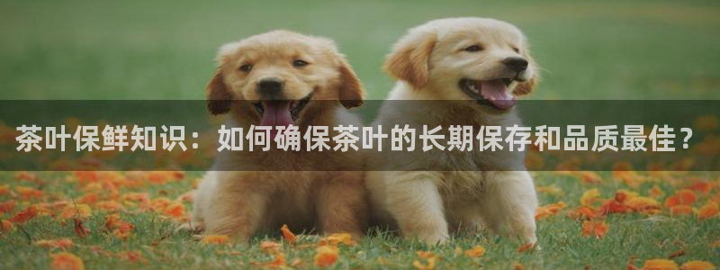 摩登7点