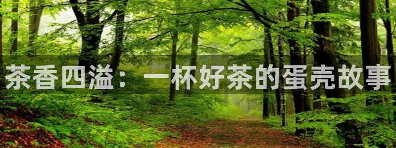 摩登7天3299O7
