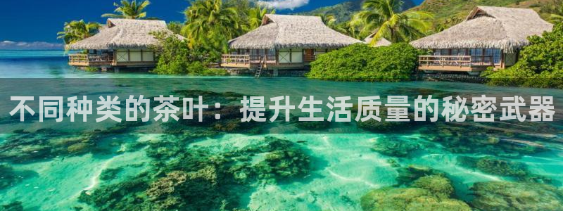 摩登7左
