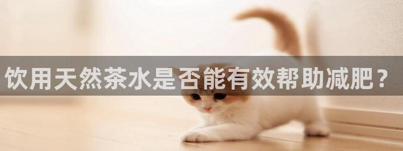 摩登7左