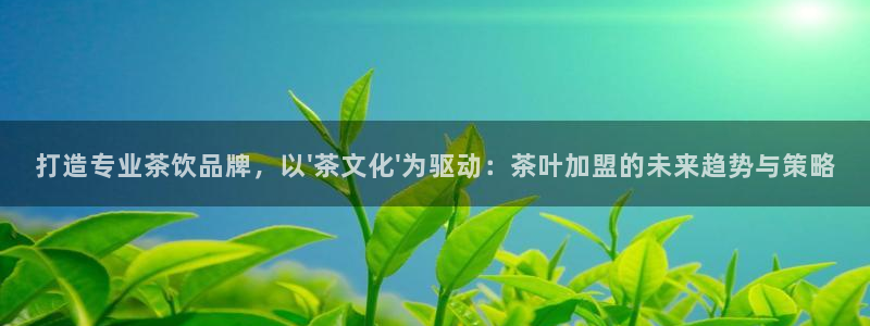 摩登3郑7O667