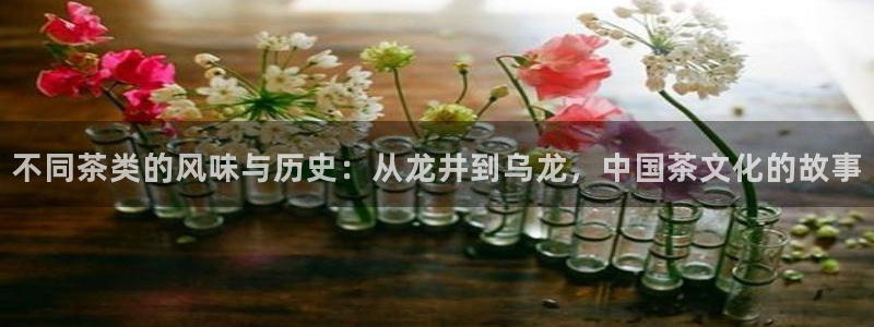 摩登7官方