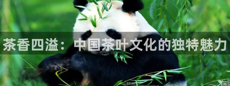 摩登7平台登录地址