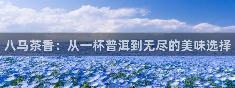 摩登7地7O667