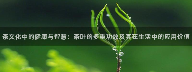 摩登6冯这7O667