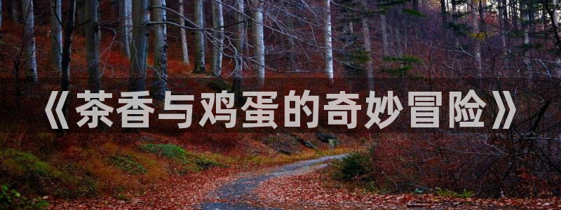 摩登7前7O667