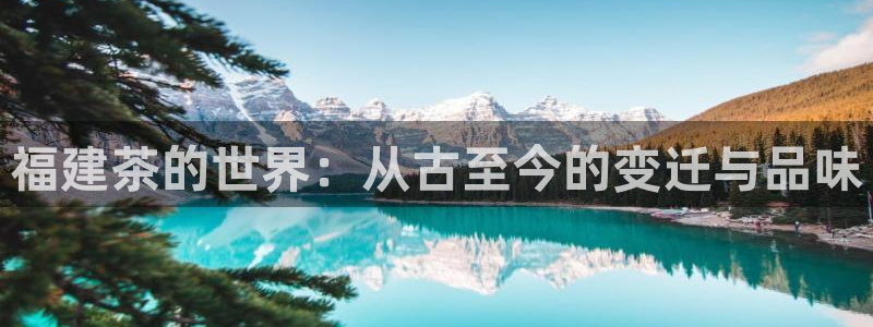 摩登7娱乐平台4
