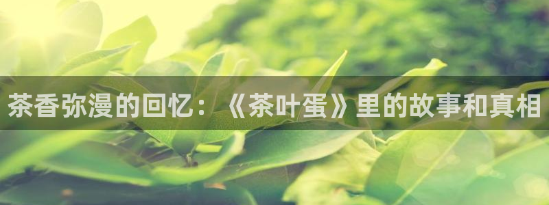 摩登7会员登录入口