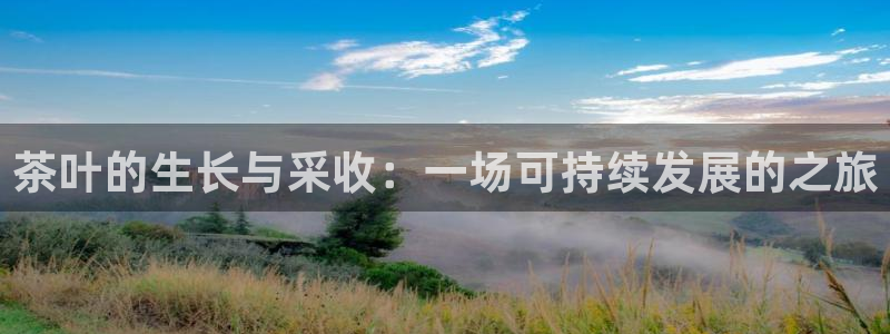 摩登7高阶