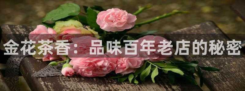 摩登7平台招商