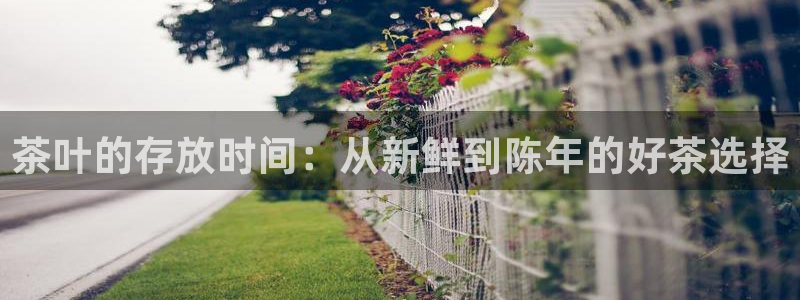 摩登7日7O667