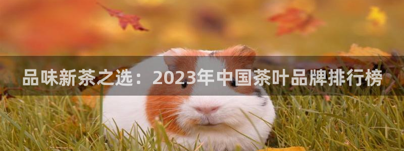 摩登7