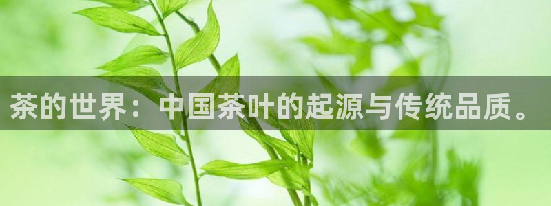 摩登平台视7O777