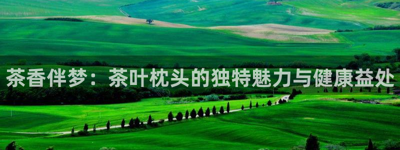 摩登7月7O667