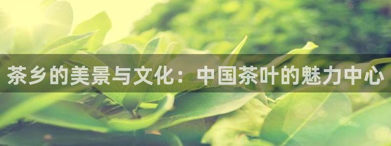 摩登3下7O667