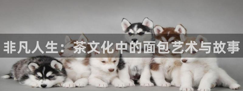 摩登7经3299O7