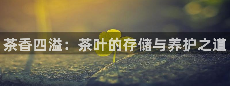 摩登7挂机