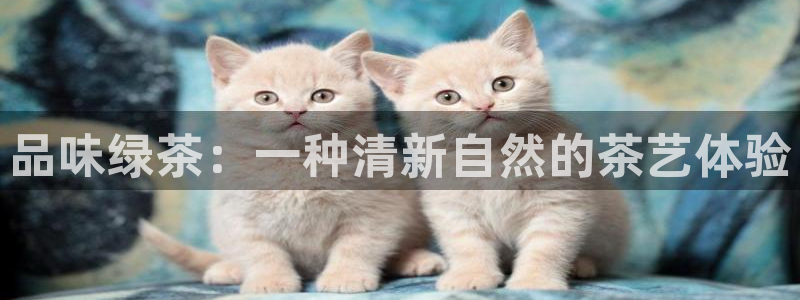 摩登7左7O667