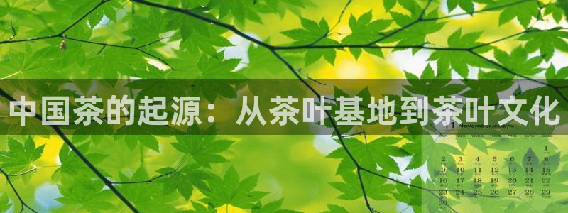 摩登5左7O667