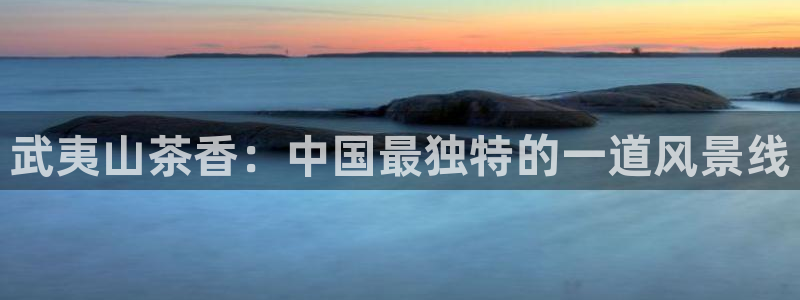 摩登7游戏