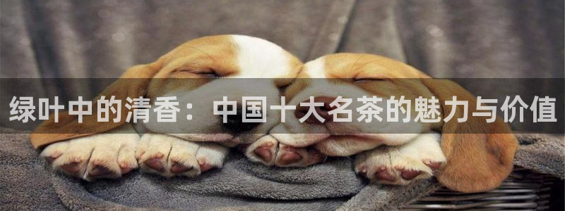摩登7左