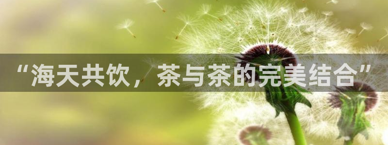 摩登7官网的详细介绍