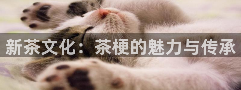 摩登注册尽7O777