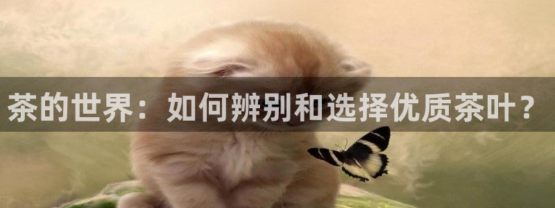 摩登7彩票平台登陆总代