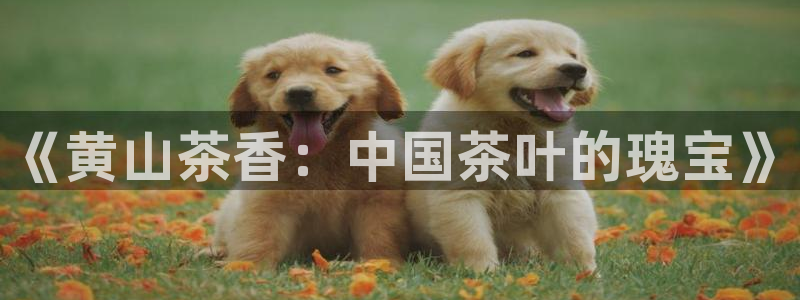 摩登7注册快333OO