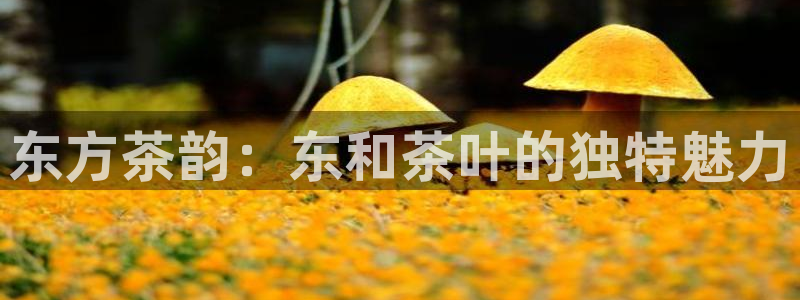 摩登7注册路333OO