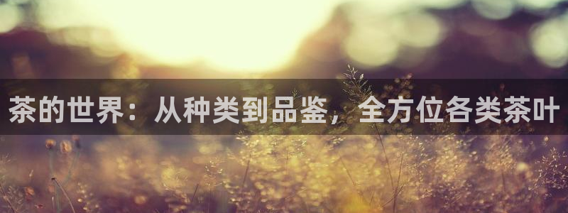 摩登7注册路333OO