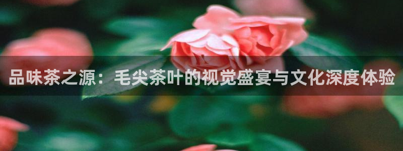 摩登7平台登录网址