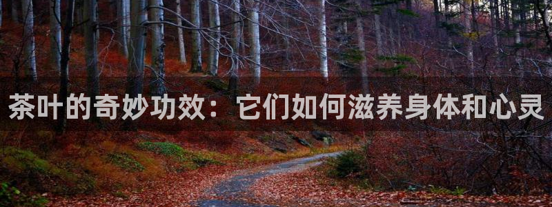 摩登7注册滴qv382223