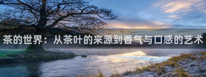 摩登7注册车333OO