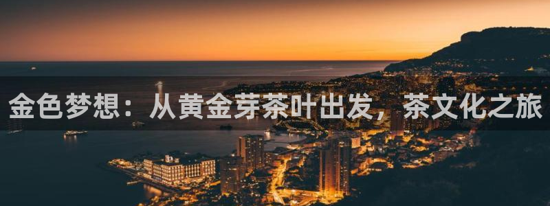 摩登7登录博333OO