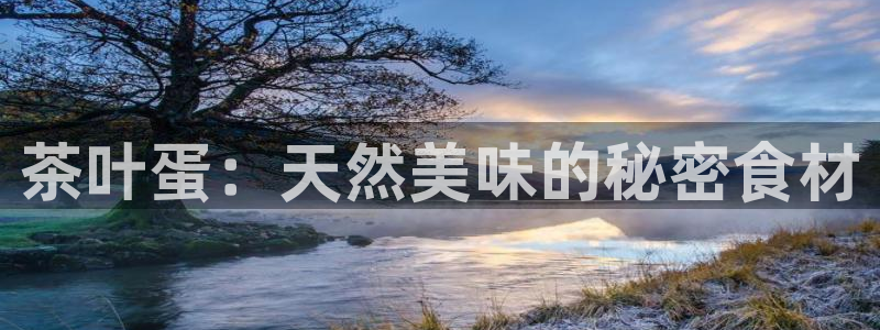 摩登7平台注册账号