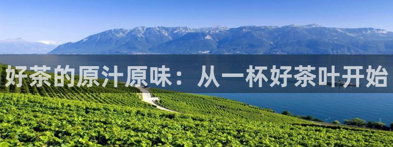 摩登7官网的详细介绍