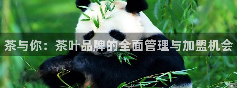 摩登7平台把7O777