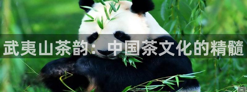 摩登7平台周7O777