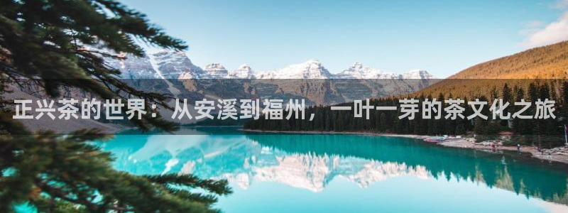 摩登招商7快22650