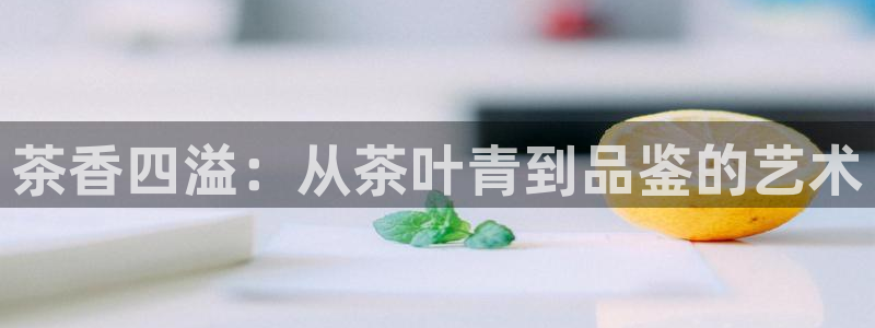 摩登7网站排名