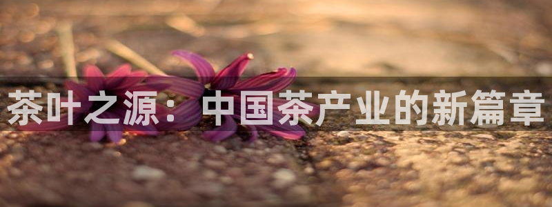 摩登7官方联系方式